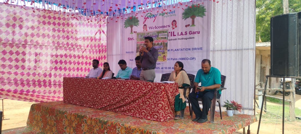 పామాయిల్ తోటలను పరిశీలించిన జిల్లా వ్యవసాయ శాఖ అధికారులు